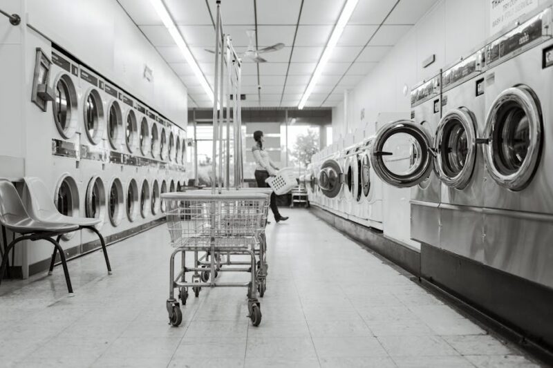 The Ultimate Guide to Choosing and Maintaining Your Dryer