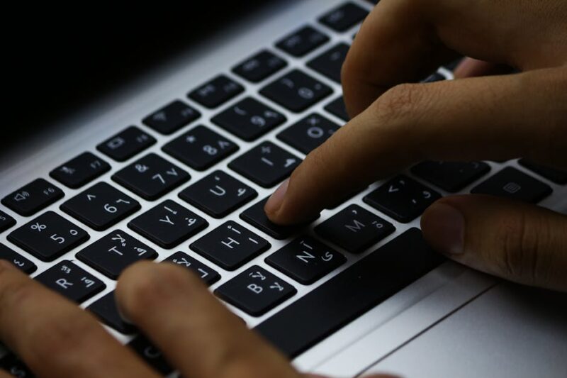 Exploring the World of Online Toto: Trends and Insights