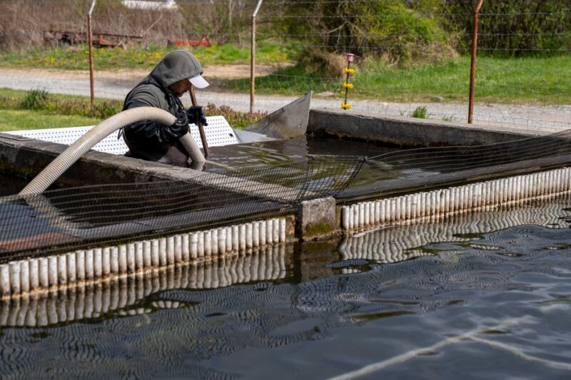 The Essential Guide to Septic Tank Cleaning