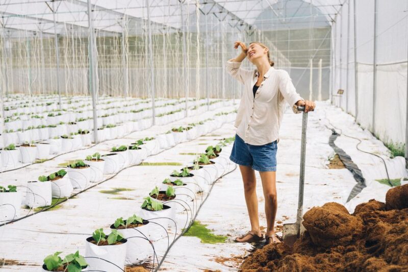 Essential Supplies for Successful Organic Farming