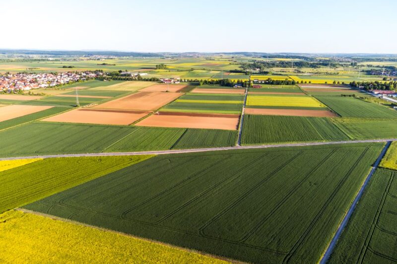 Understanding Crop Insurance: A Comprehensive Guide