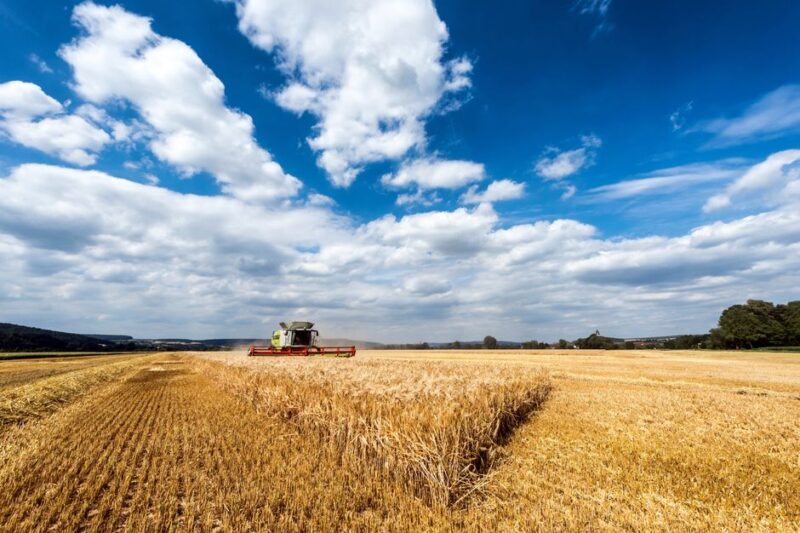 Understanding the Importance of Crop Insurance for Farmers