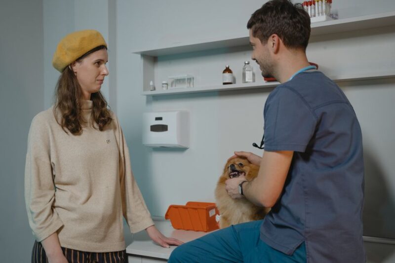 La importancia de elegir una clínica veterinaria de confianza