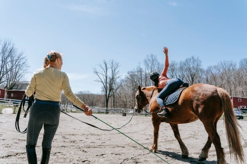 The Ultimate Guide to Horse Riding Lessons
