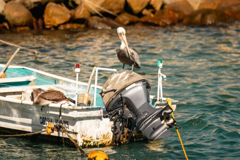 Guía completa para la reparación del motor fuera borda