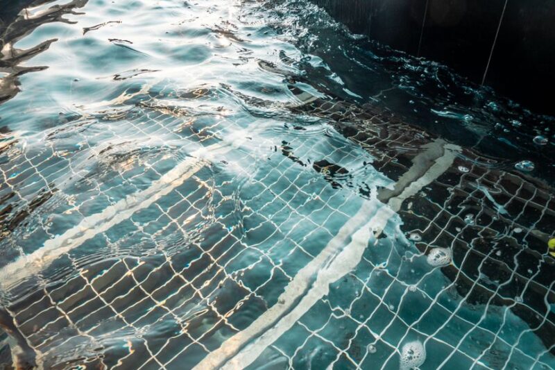 Mastering Pool Cleaning: Essential Tips and Techniques