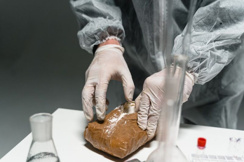 Understanding Drug Testing Services: Importance and Implementation
